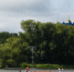 «Гонки Драконов» устроили в Бронницах в день рождения города - Regions.Ru