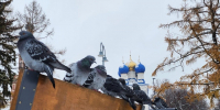 Бронничан предупредили, когда перестанет таять снег - Regions.Ru