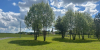 На газонах парка «Бронницкий луг» начали косить траву - Regions.Ru
