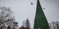 Новогоднюю елку высотой 16 метров нарядили на главной площади Бронниц - Regions.Ru
