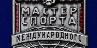 Двоим воспитанникам бронницкого ГУОР присвоены почетные спортивные звания - Regions.Ru